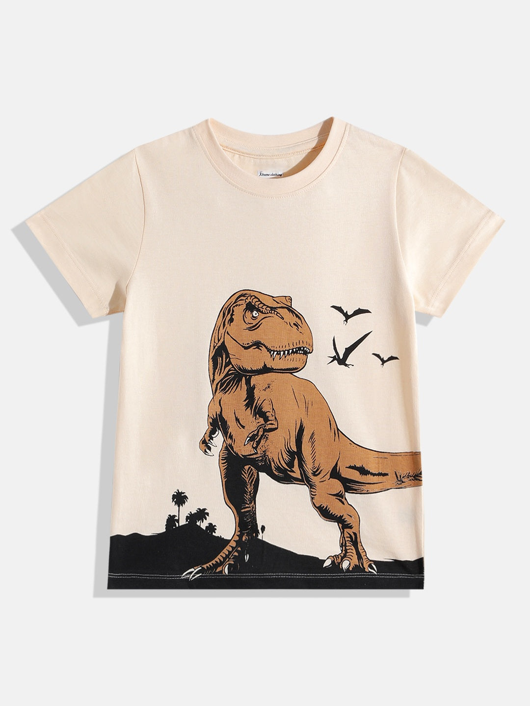 Coolbee Store Kids Boys T-Shirt - Beige (KBSS25TR453) – back view
