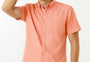 Premium Oxford Casual Half Shirt Peach