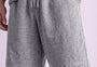 Regular Fit Shorts Gray Milange