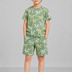 Kids Boys Clothing Set - Green (KBSSCS12)