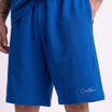 Regular Fit Shorts Royal Blue Men
